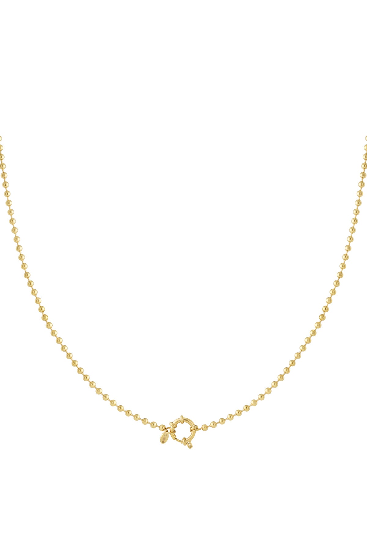 Roestvrijstalen kettingen Geometrisch Casual Dagelijks Eenvoudig Serie Dames sieraden