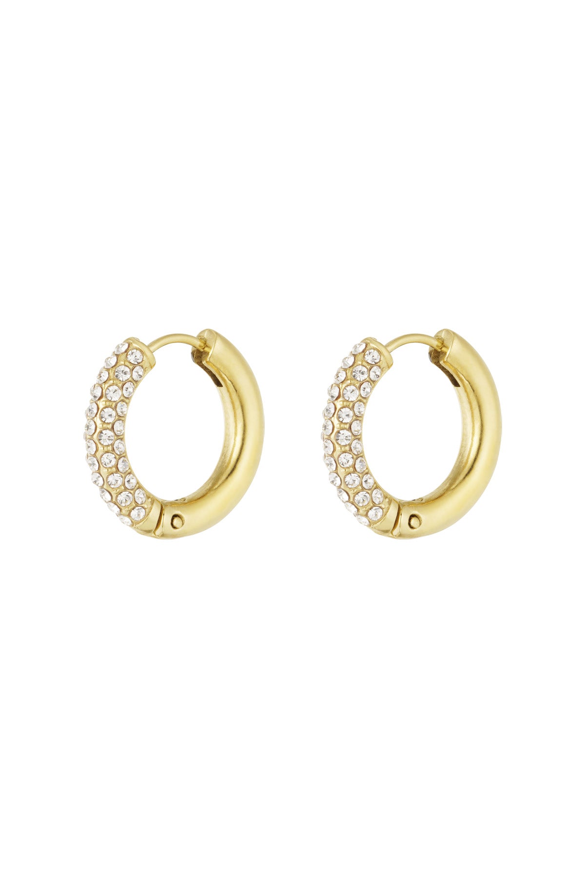 Shiny Rings oorbellen