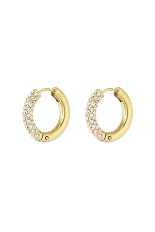 Shiny Rings oorbellen