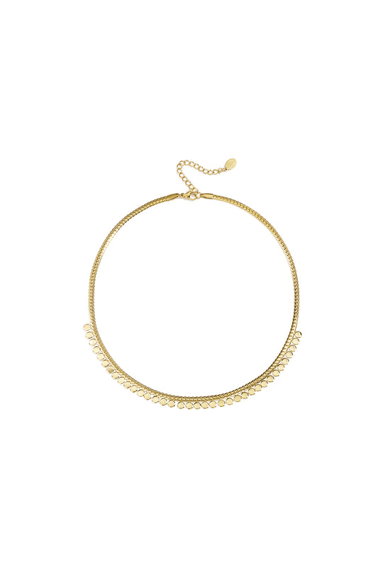 Ketting muntjes - Stainless Steel