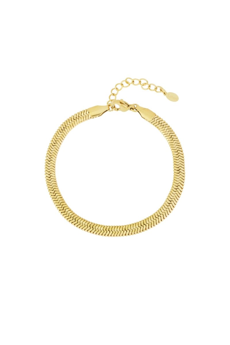 Armband met Fijn Schakelontwerp - 2 kleurenRojaluxe