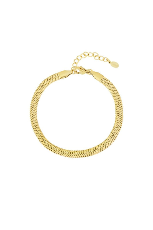 Armband met Fijn Schakelontwerp - 2 kleurenRojaluxe