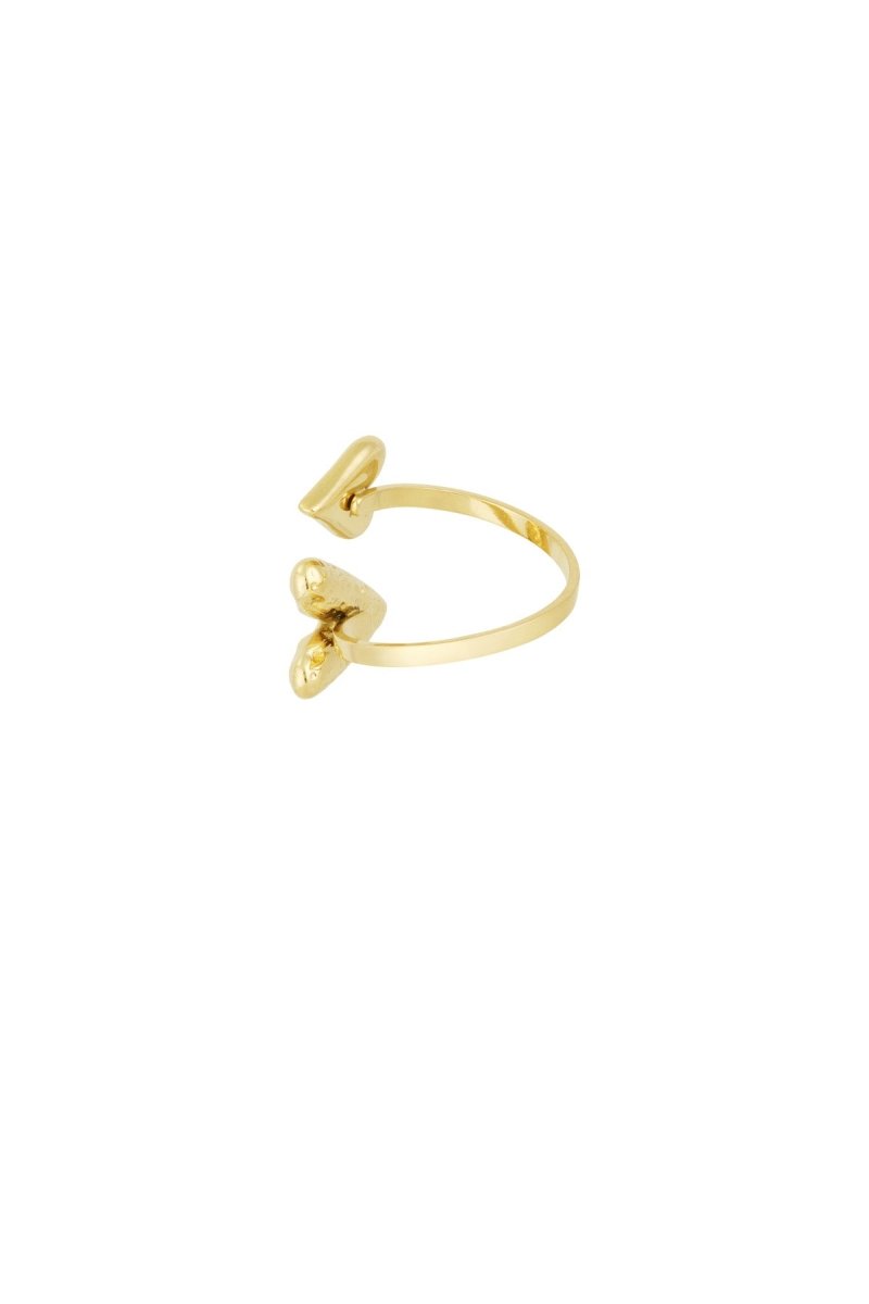 dual affection ring - 2 kleurenRojaluxe