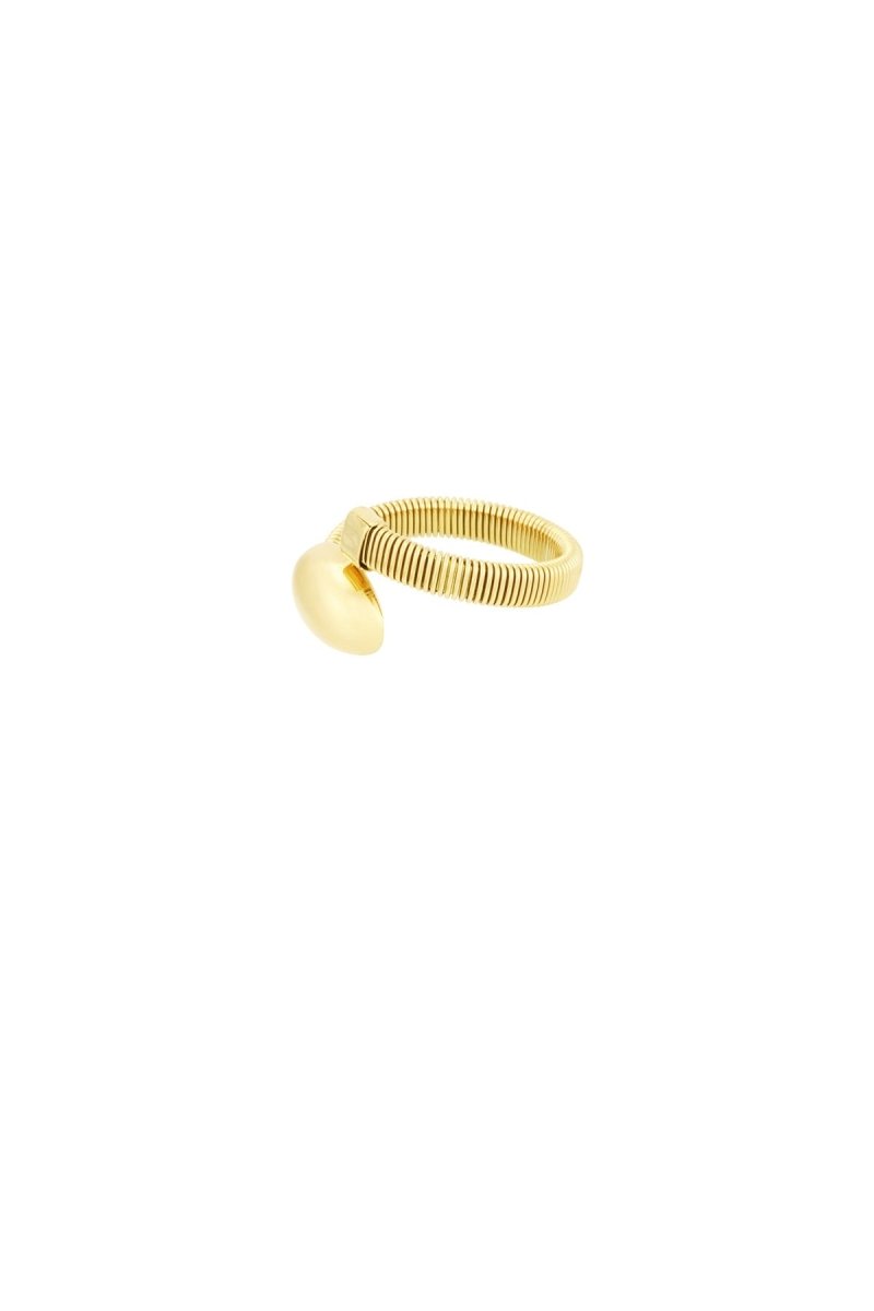 funky dot ring - 2 kleurenRojaluxe