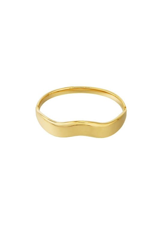 Golvende armband - 2 kleurenRojaluxe