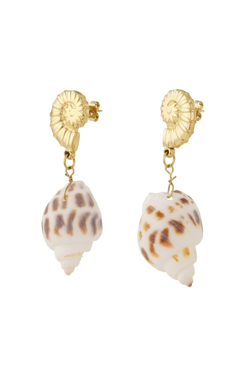 Seashell Elegance OorbellenRojaluxe